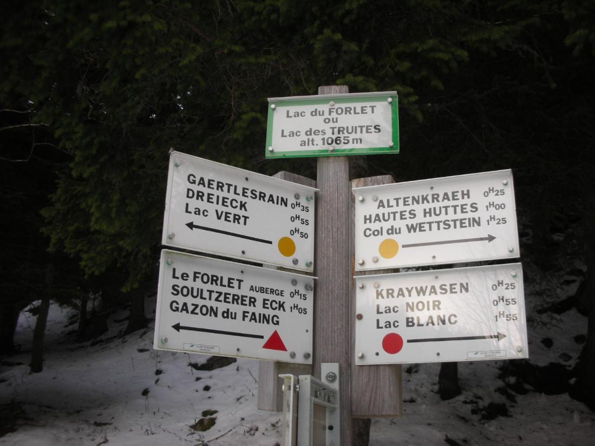 Le Gite De La Tourette Hohrod Exterior foto